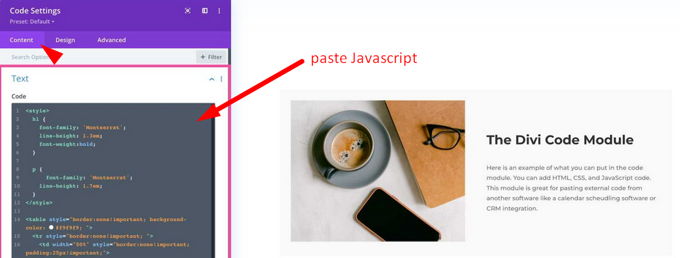 Add JavaScript to WordPress Divi Add JavaScript to WordPress Divi