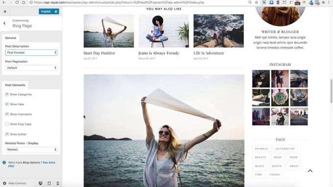 Ashe Theme review customizer
