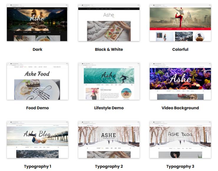 Ashe Theme review demos