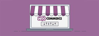 10 best Woocommerce themes [2025]