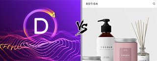 Divi vs Botiga Theme comparison [2025]