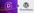 Divi vs Wordpress