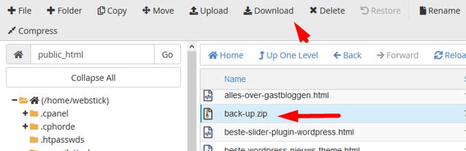Download ZIP Cpanel