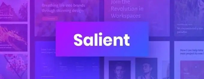 Salient fastest Woocommerce themes [2025]