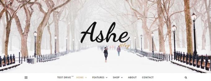 fastest Wordpress themes Ashe