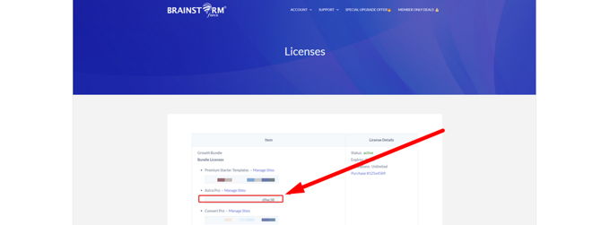 How to update theme in WordPress Astra license key How to update theme in WordPress Astra license key