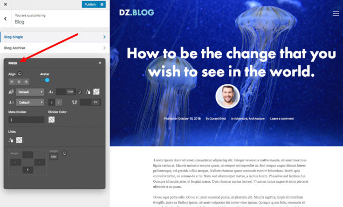 Jupiter customizer Jupiter customizer
