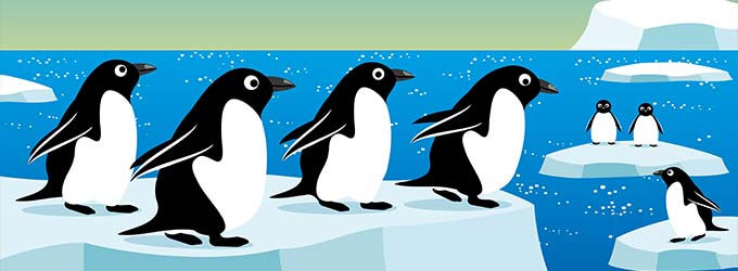 Penguin algorithm Penguin algorithm