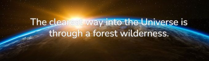 Royal Elementor Theme review Parallax Effects