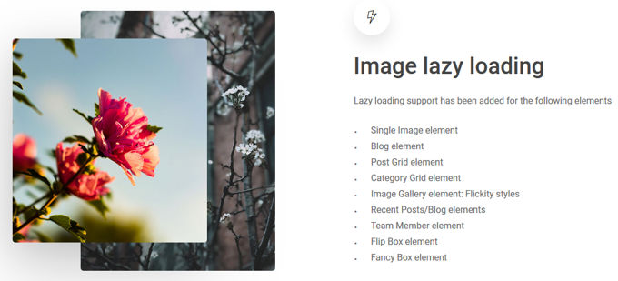 Salient Theme: Lazy loading Salient Theme review: Lazy loading