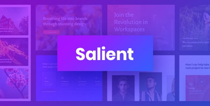 Salient Theme review Salient Theme review