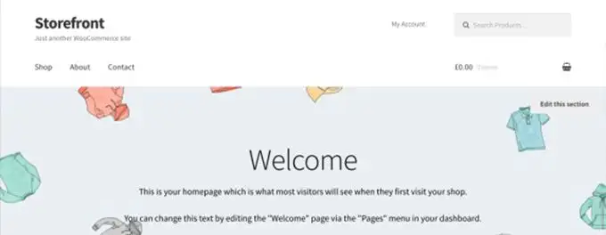 Detailed review of the Storefront Theme