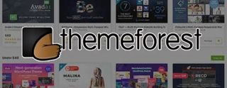 Themeforest Marketplace Review [2025]