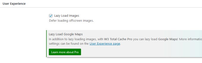 W3 Total Cache Lazy Load