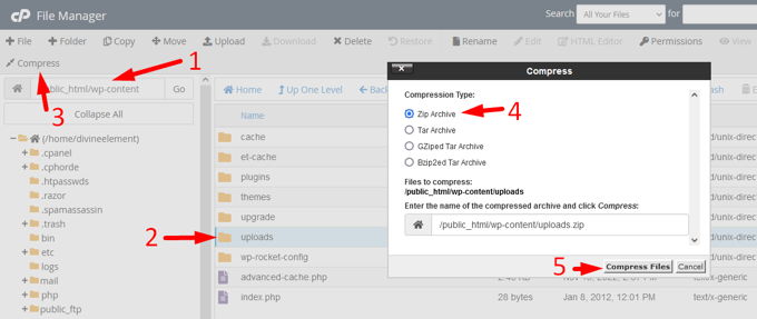 Wordpress download media library Cpanel Wordpress download media library Cpanel