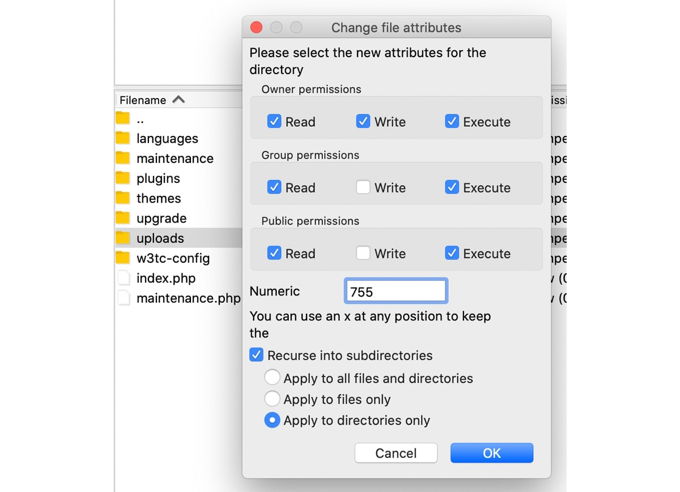 WordPress media library not showing all images file permissions