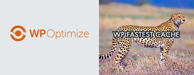 WP-Optimize vs WP Fastest Cache